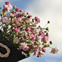 新米シングルマザーの離婚とお金のリアルな話