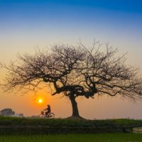 シングルマザーだからこそ！おすすめ息抜き方法♪