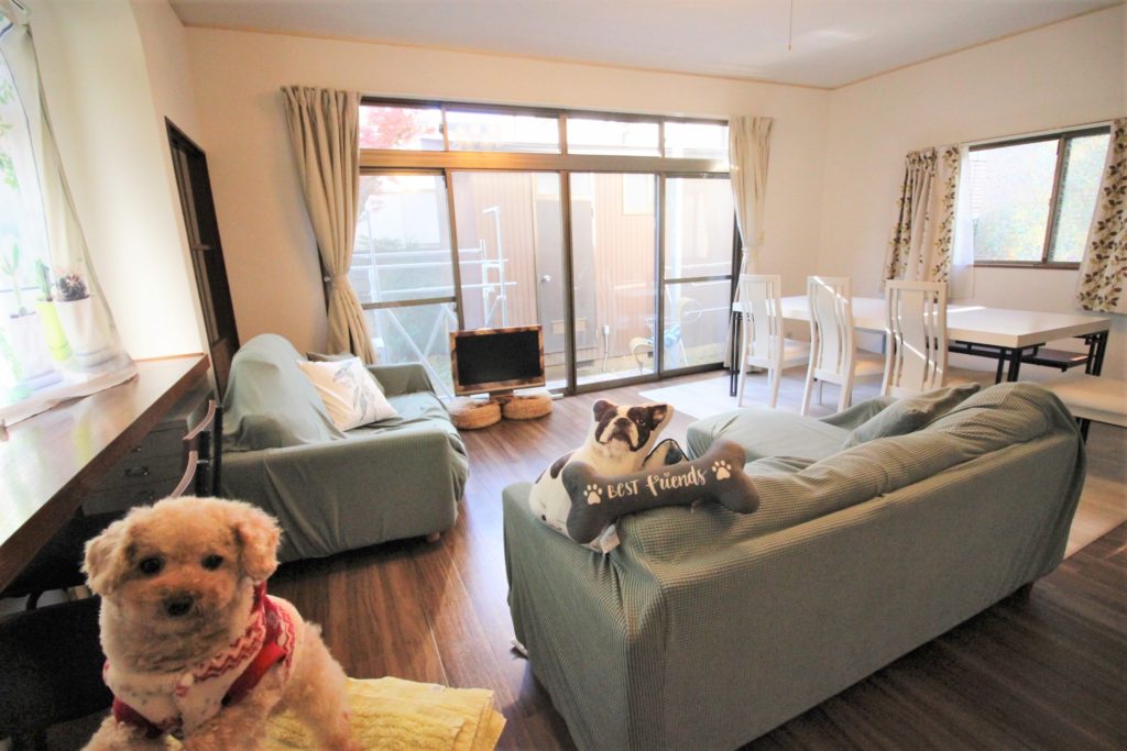 MANAHOUSE桜丘（犬猫ペットOK）